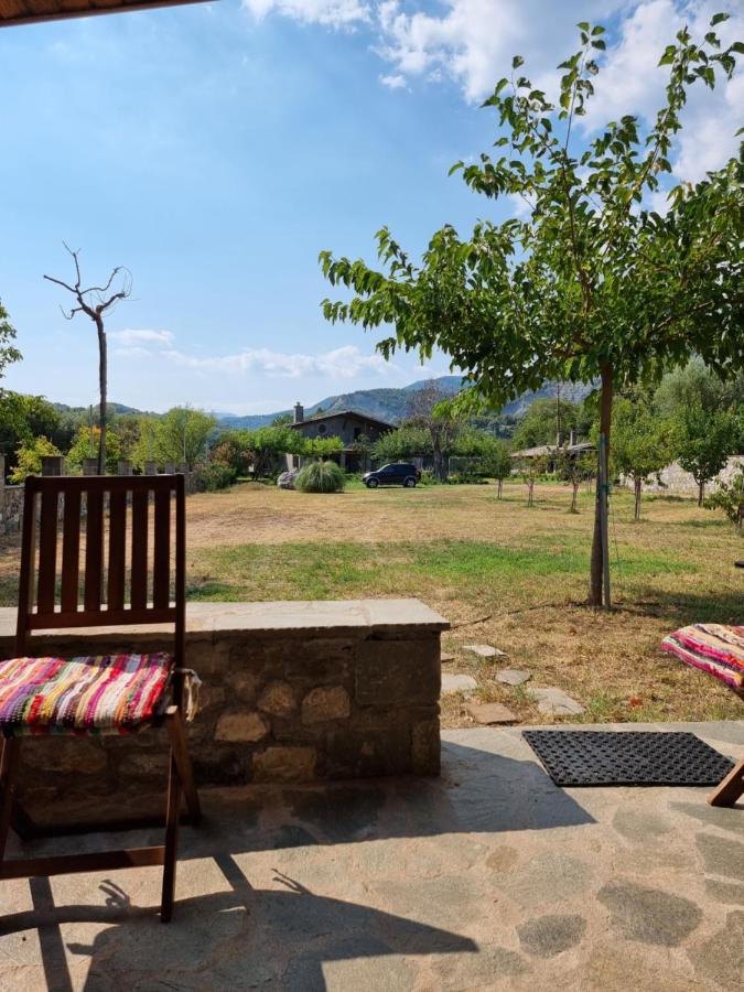 House With Big Garden And Barbeque In Nature Vourgareli Exterior photo